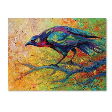 Marion Rose 'Crow 14' Canvas Art,35x47